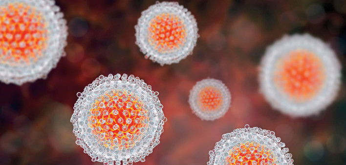 Hepatitis C virus model, 3D illustration.