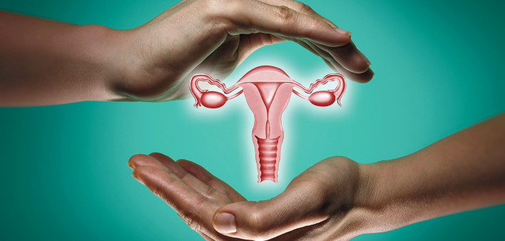 hands and female reproductive system illustration