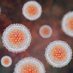 Hepatitis C virus, HCV