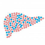 illustration of pills in shape of liver