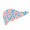 illustration of pills in shape of liver