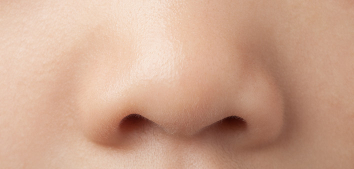 A little girl's nose close-up
