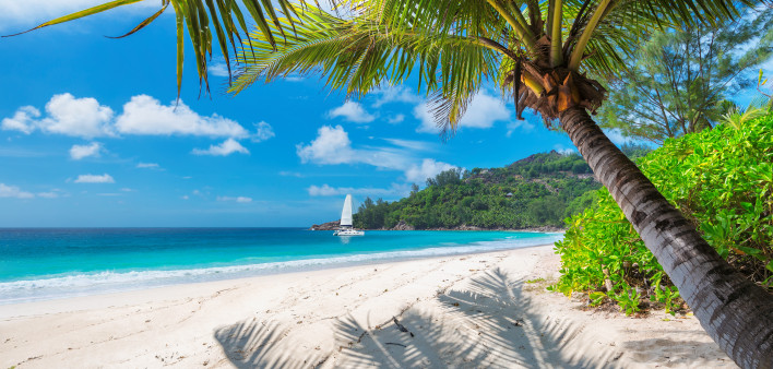 Sandy beach with palm trees and a sailing boat in the turquoise sea on Paradise island.