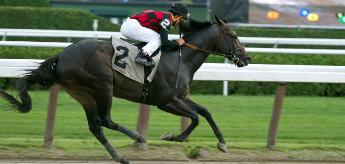 Race horse in full stride with jockey