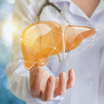 Doctor and liver illustration