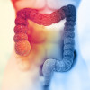 Human colon on scientific background