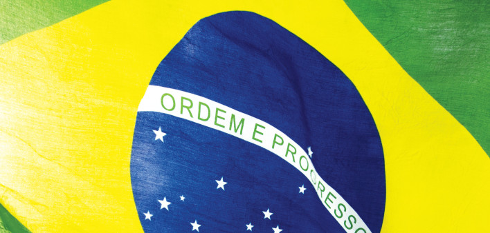 Brazilian Flag
