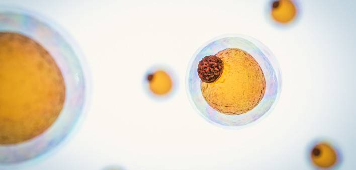 Field of fat cells, High quality 3d render of fat cells, cholesterol in a cells