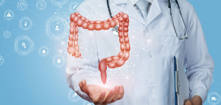 Doctor shows the colon of a person