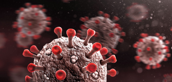 coronavirus