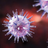 Epstein-Barr virus illustration