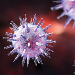 Epstein-Barr virus illustration