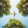 jet flying over sky palm trees travel