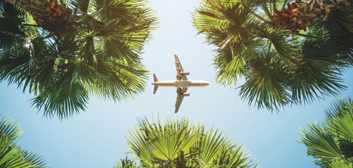 jet flying over sky palm trees travel