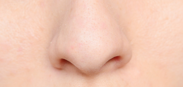 macro shot of human nose