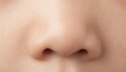 A little girl's nose close-up