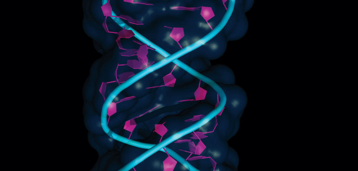 illustration of DNA