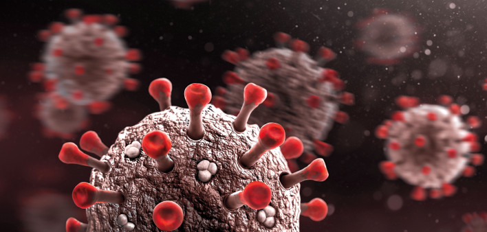 coronavirus