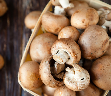 Champignons in a basket on dark boards mushrooms