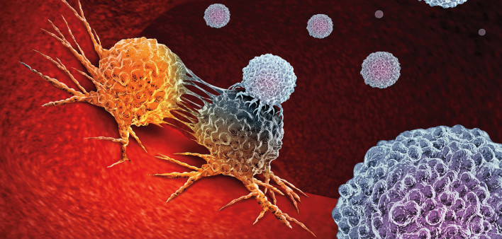 Cancer Immunotherapy as a human immune system therapy concept as a biomedical or biomedicine oncology treatment using the natural T cell fighting properties of the body as a 3D render.