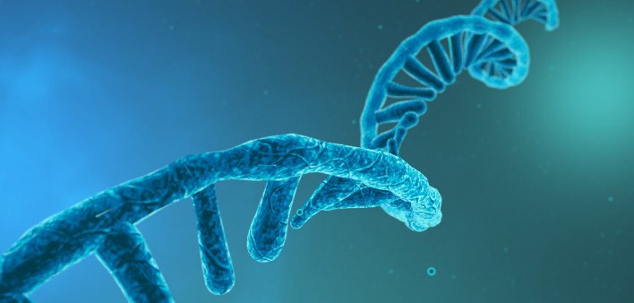 RNA strand