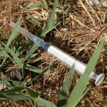 Abandoned syringe on the street