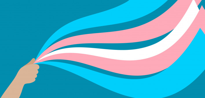 illustration transgener trans colors flag