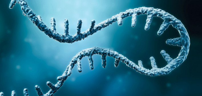Messenger RNA or mRNA strand 3D rendering illustration
