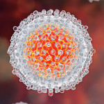 Hepatitis C virus model, 3D illustration.