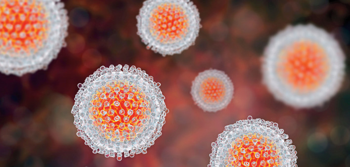 Hepatitis C virus model, 3D illustration.