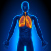 illustration lungs male figure