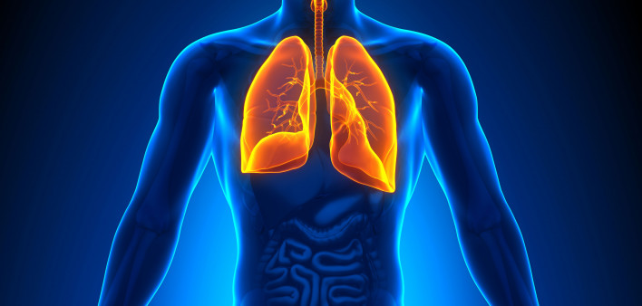 illustration lungs male figure