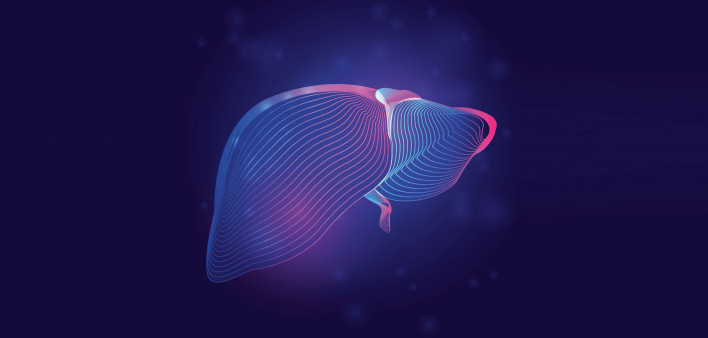 Human liver medical structure. Outline vector illustration of body part organ anatomy in 3d line art style on neon abstract background