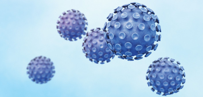 Human papillomaviruses HPV