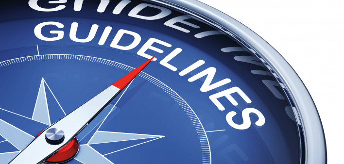 Description  3D rendering of a compass with the word guidelines