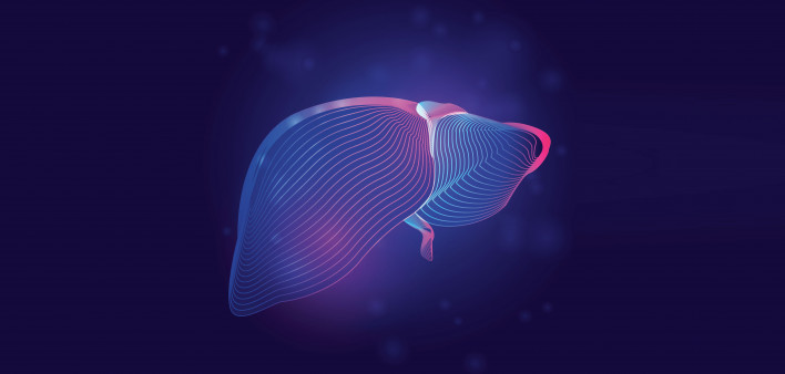 Human liver medical structure. Outline vector illustration of body part organ anatomy in 3d line art style on neon abstract background