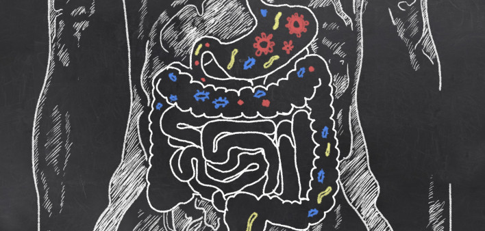 gut-bacteria