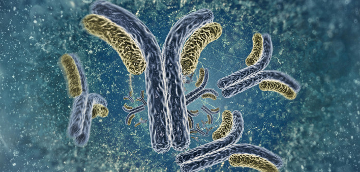 antibodies illustration