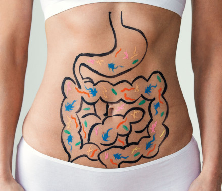 womans abdomone with digestive tract drawn of abdomine
