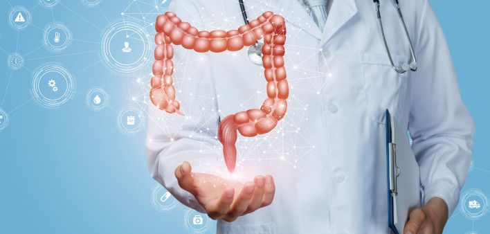 Doctor shows the colon of a person