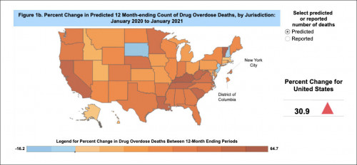 Percent changes in U.S drug overdose deaths in the 12 months ending January 2021.