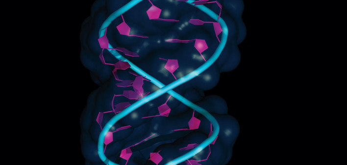 illustration of DNA