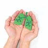 hands holding model of lungs illustration