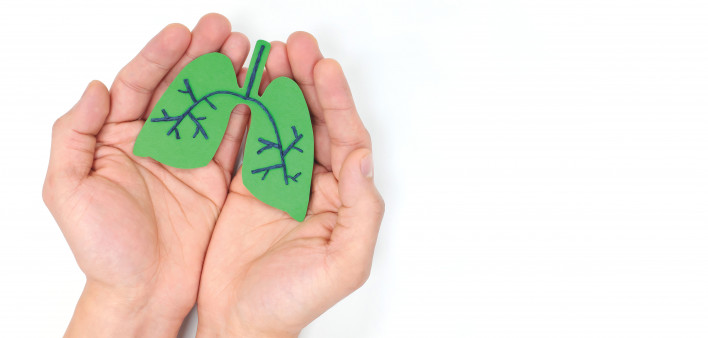 hands holding model of lungs illustration