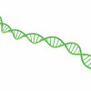 illustration of DNA double helix