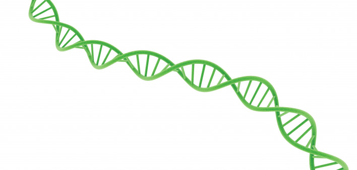 illustration of DNA double helix