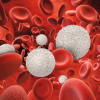 3d rendering white blood cells with red blood cells