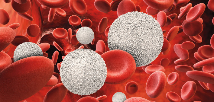 3d rendering white blood cells with red blood cells