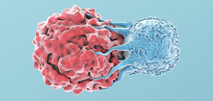 T-Cell Attacks Cancer Cell
