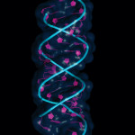 illustration of DNA